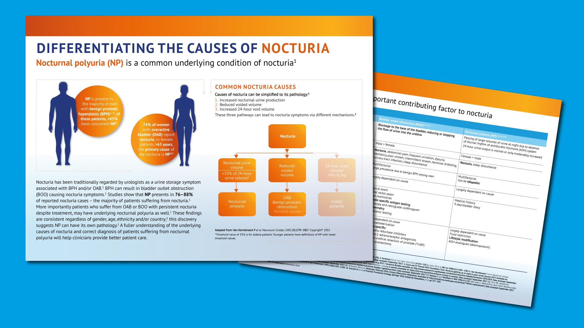 urology section image