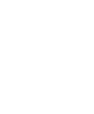 domino icon