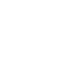 pie chart icon