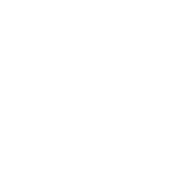 tick icon